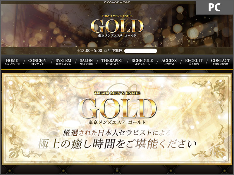 MAGNUM for Mens Esthe Portfolio [[Tokyo]GOLD] 